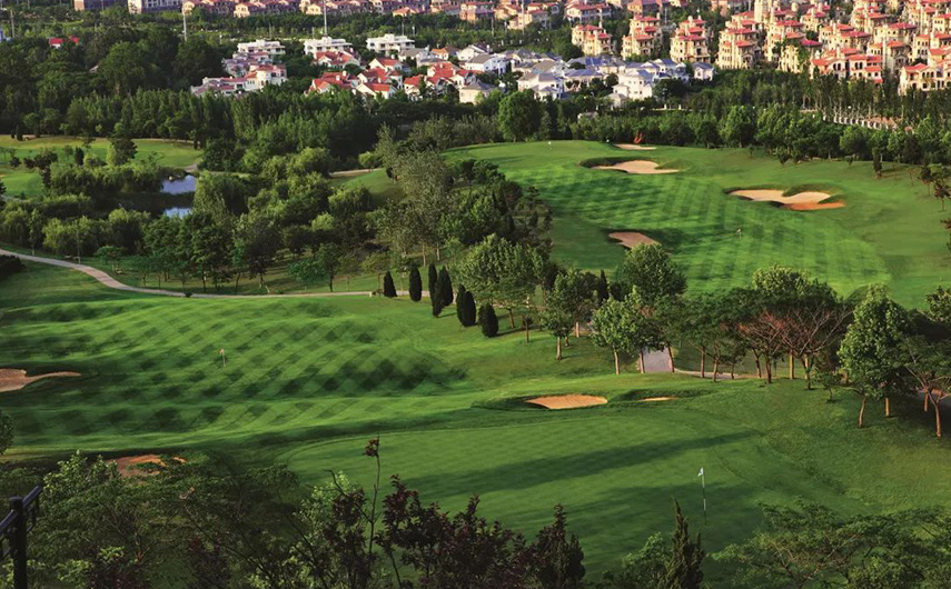 1563249382497098blcG.jpg 1563153521646143I4RT.jpg