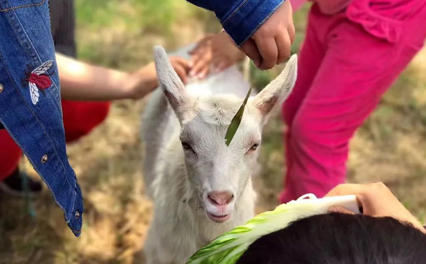 1563249409154002GlIl.jpg 1563153521646143I4RT.jpg