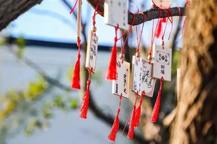 1565058921625915v8bQ.jpg 1.jpg