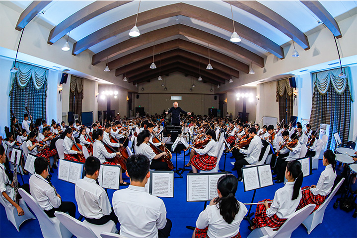 15675853285202713COL.jpg 1565340841435222lMtk.jpg