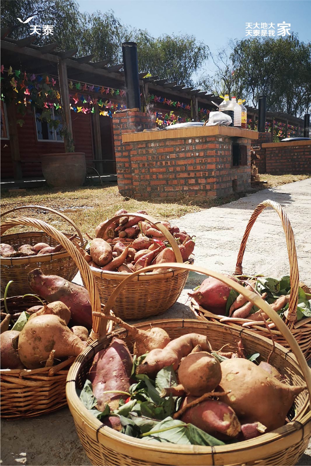 1570691389418132Y3GY.jpg 图片1.jpg