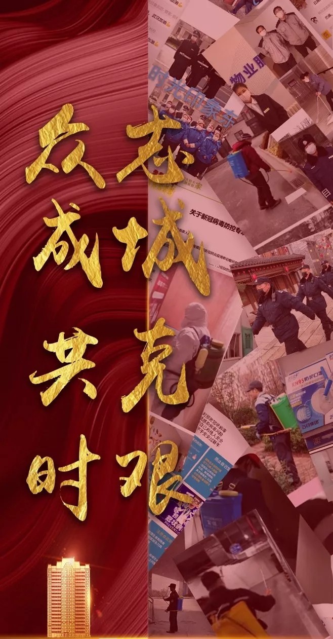 1580719062683618niWB.jpg 14.jpg