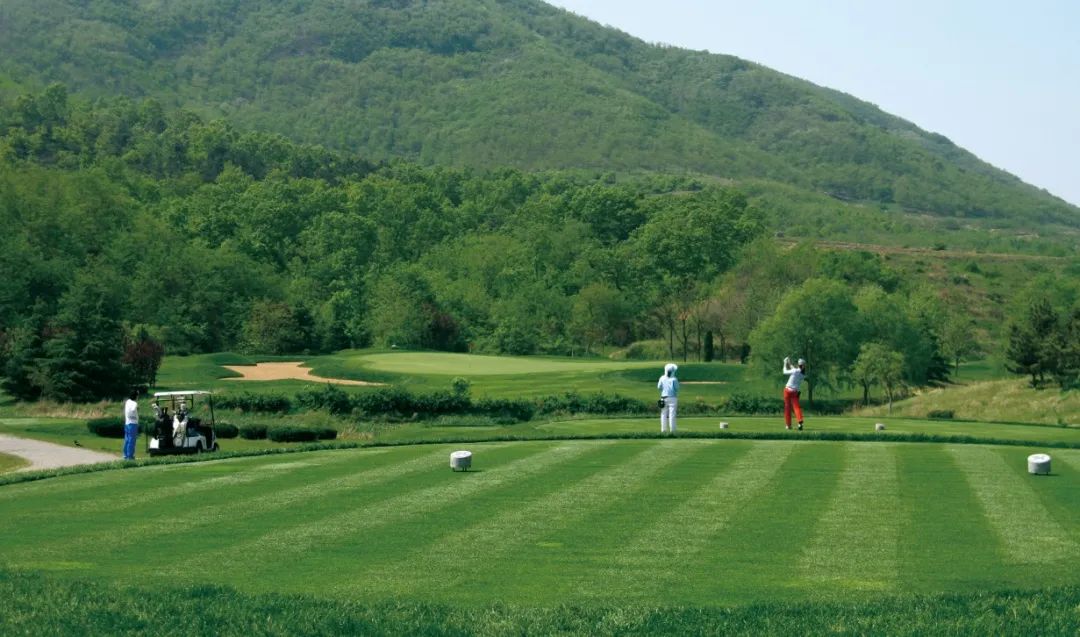 1589356669426842VqZr.jpg 微信图片_20200513155019.jpg