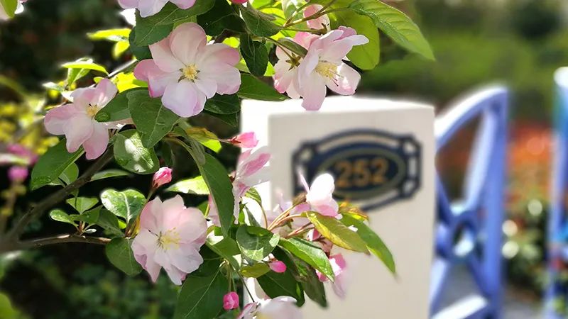 1589360226238240kLKh.jpg 微信图片_20200513165135.jpg