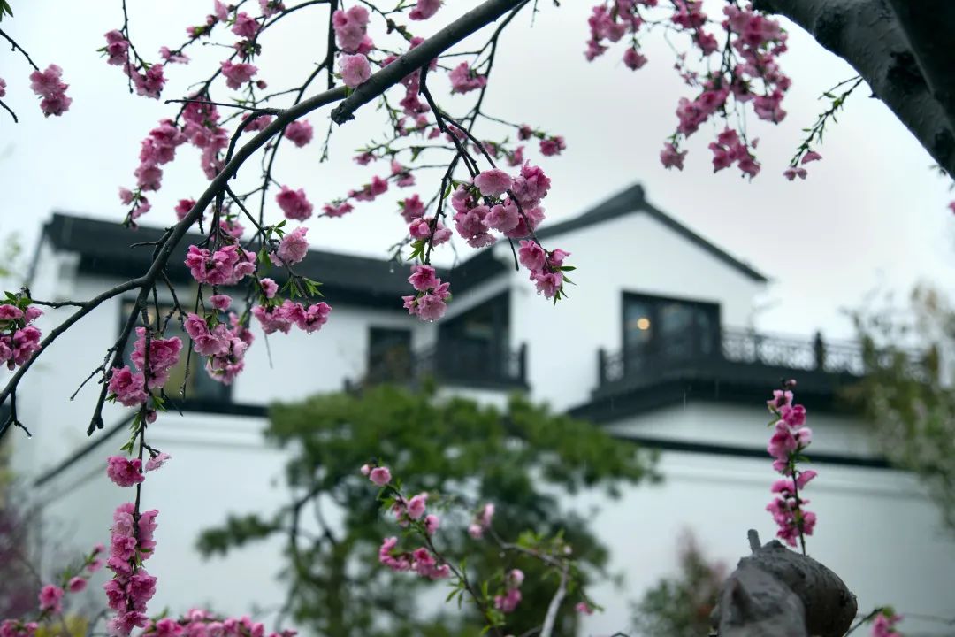 1590976730807622ZfUp.jpg 微信图片_20200601094338.jpg