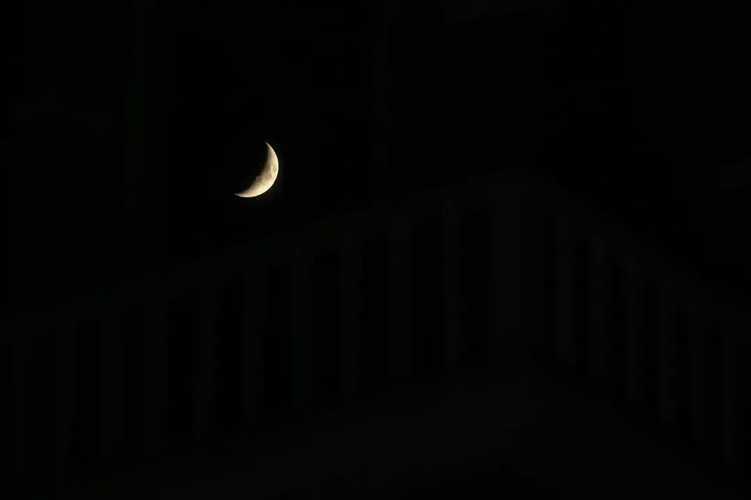 1595925193232589UZs8.jpg 微信图片_20200727085806.jpg