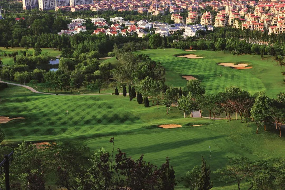 1597799183500357NhuL.jpg 微信图片_20200819090136.jpg