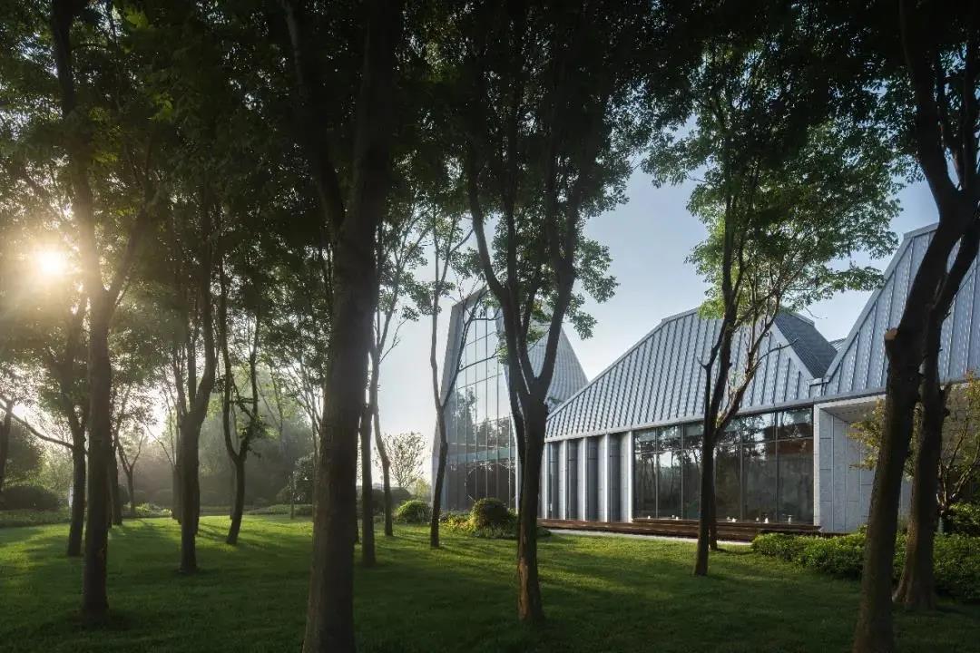 1602229310912489b9I3.jpg 微信图片_20201009153200.jpg