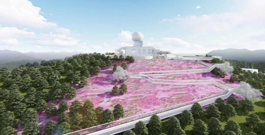 1602231403978569kpuz.jpg 微信图片_20201009161614.jpg