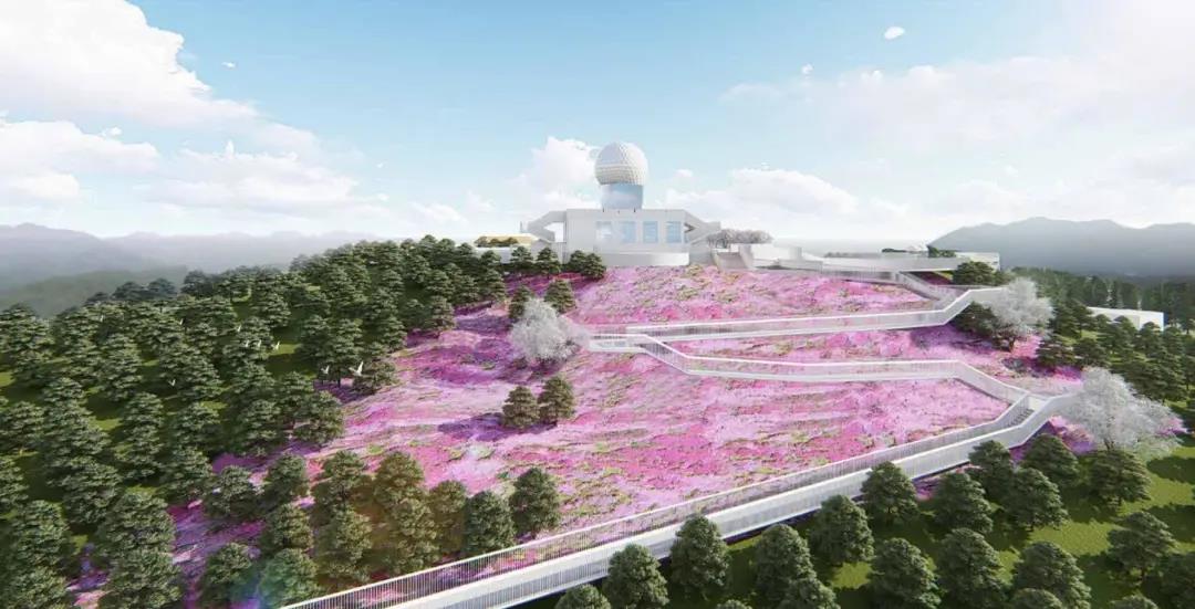 1602231742507816lqSJ.jpg 微信图片_20201009162044.jpg