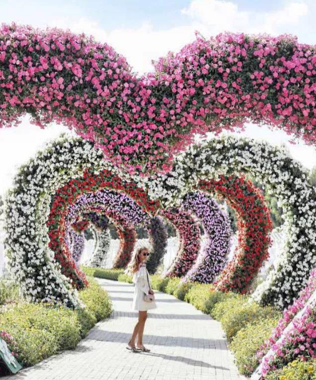 1602231843732781xL1y.jpg 微信图片_20201009162058.jpg