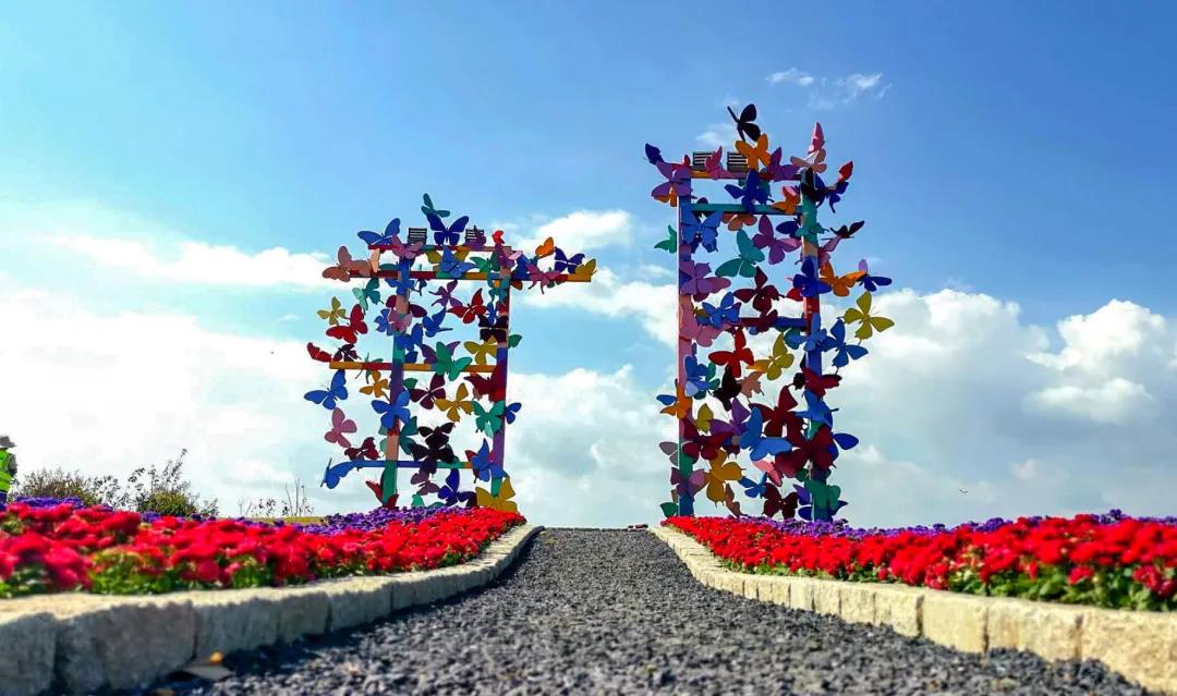 1602231925990185Wc8h.jpg 微信图片_20201009162120.jpg