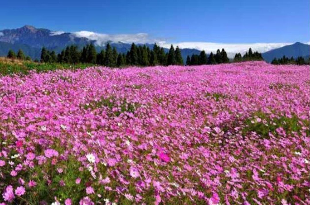 160223218691389353mT.jpg 微信图片_20201009162110.jpg