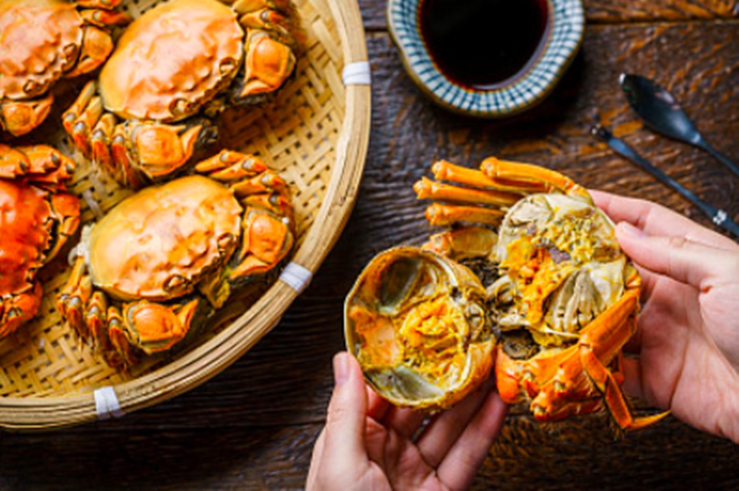 1602233228338186Ba4D.jpg 微信图片_20201009164201_副本.jpg