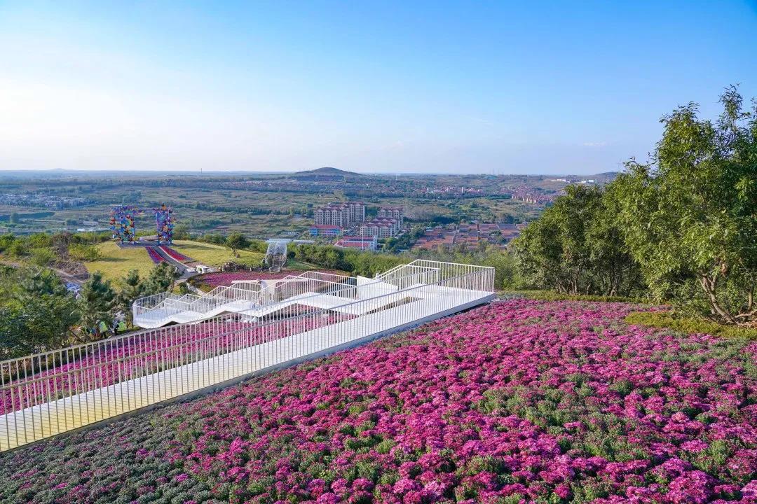 1602234023237455hPRM.jpg 微信图片_20201009165746.jpg