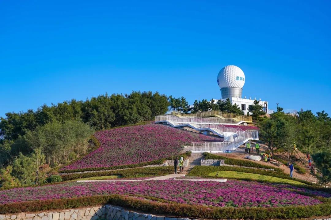 1602237206554266nZ94.jpg 微信图片_20201009174904.jpg