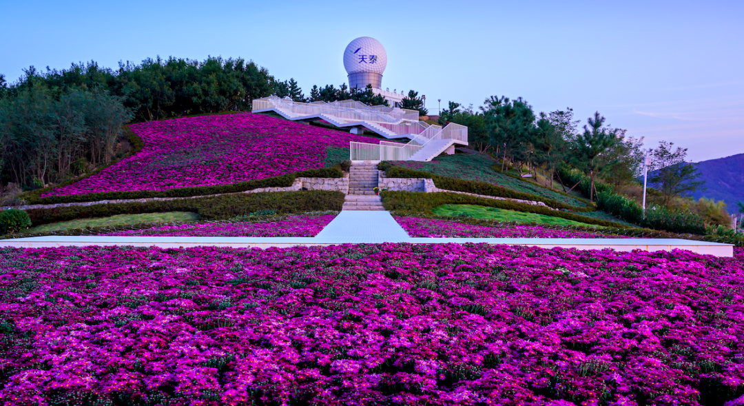 1602237251645066ErVU.png 微信图片_20201009174912.png