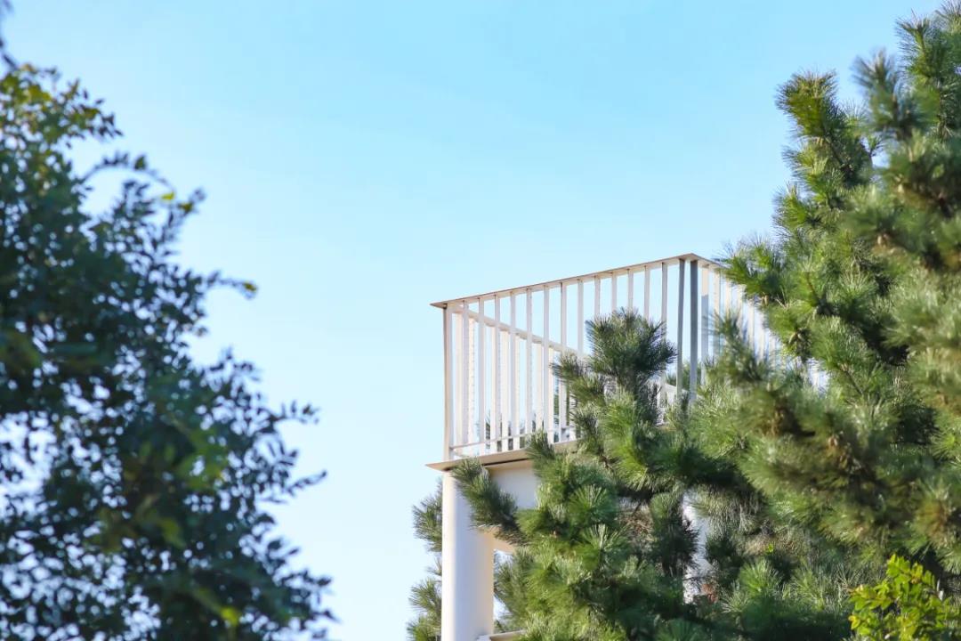 16022372787976871qw2.jpg 微信图片_20201009174918.jpg