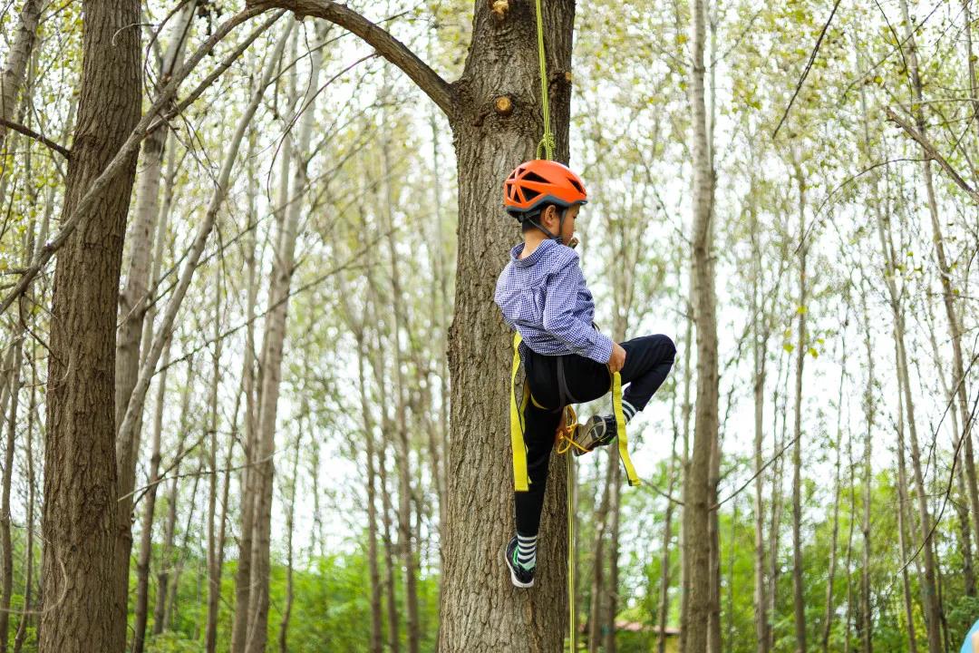 1602250164193623XEpN.jpg 微信图片_20201009212444.jpg