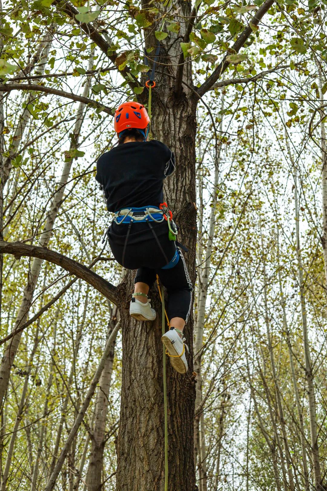 1602250190434705EzNY.jpg 微信图片_20201009212453.jpg