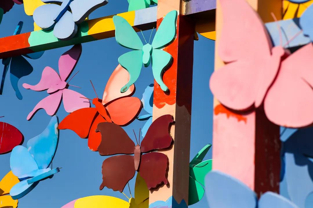 1603418306789369lSw5.jpg 微信图片_20201023094447.jpg