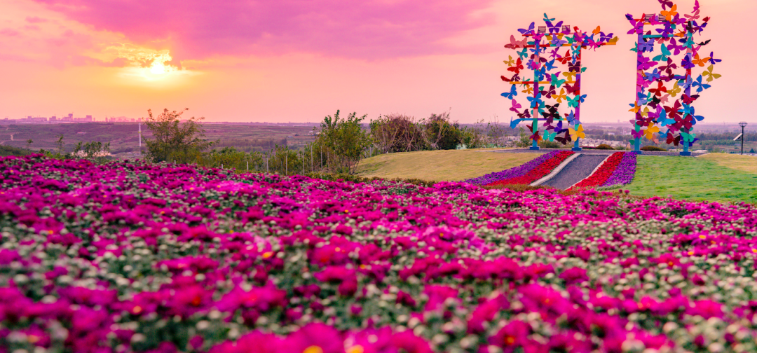 16034183316210009o9h.png 微信图片_20201023094457.png