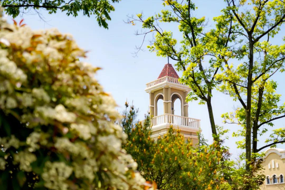 16067378756527093IC8.jpg 微信图片_20201130200022.jpg