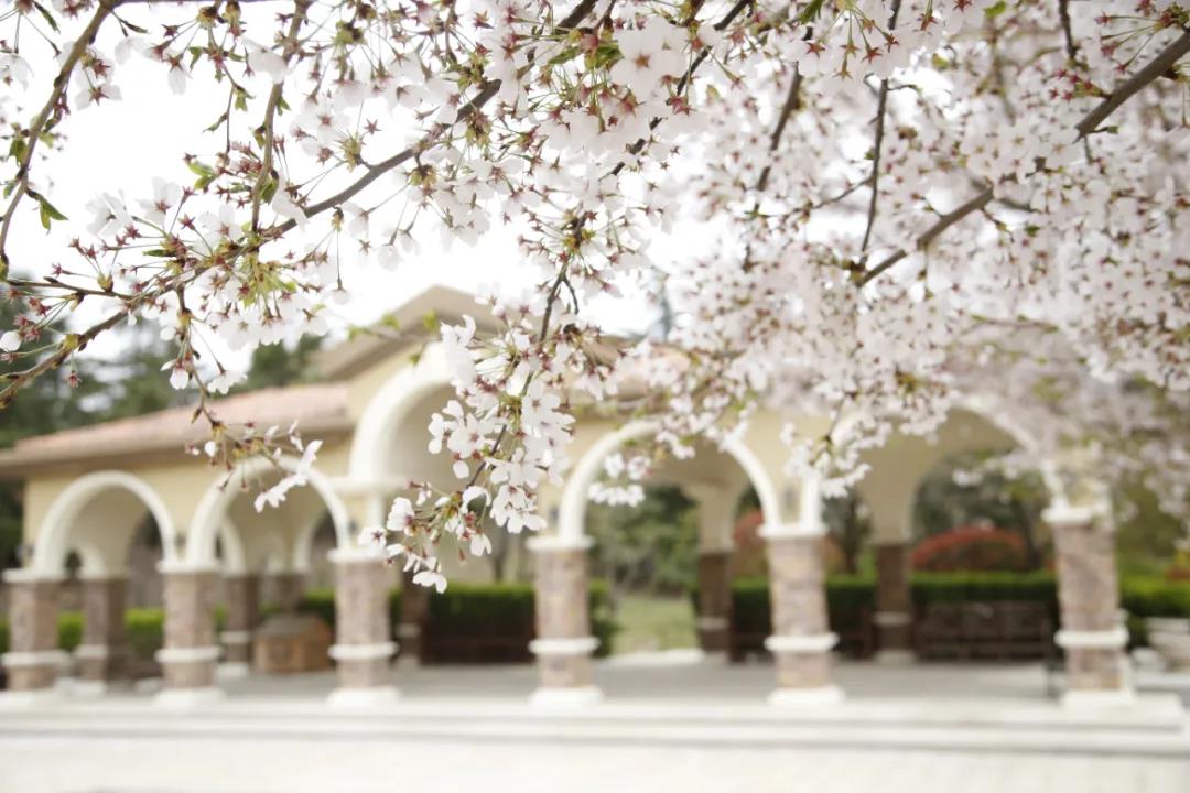 1606737921651559TxPP.jpg 微信图片_20201130200027.jpg