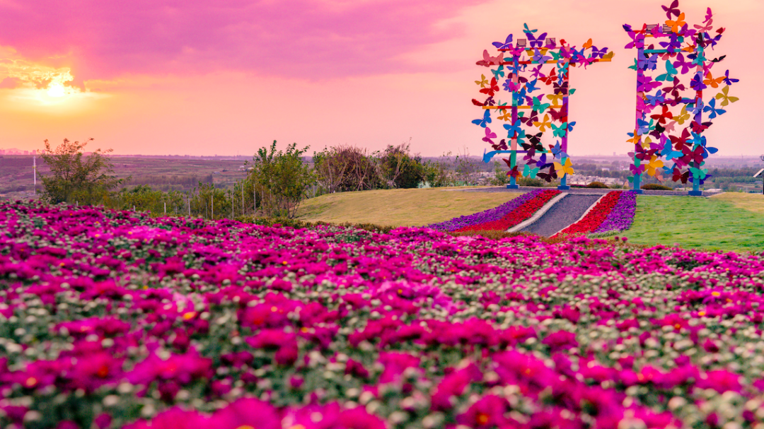 1607046112959453JFHq.png 微信图片_20201204093504.png