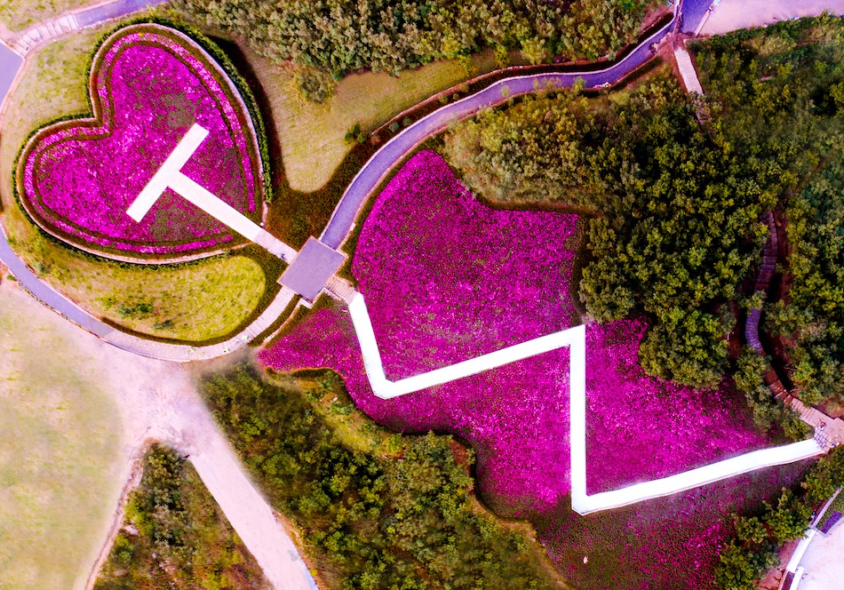 1607046119265828IZ3j.png 微信图片_20201204093509.png