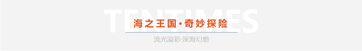 1638943869886739Mf3H.png image.png