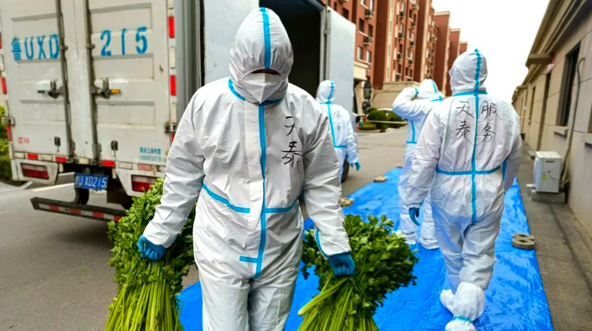 1649233274287976Fnq6.png 1649233274287976Fnq6.png