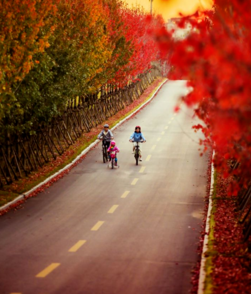 1649237215222993kTEo.png image.png