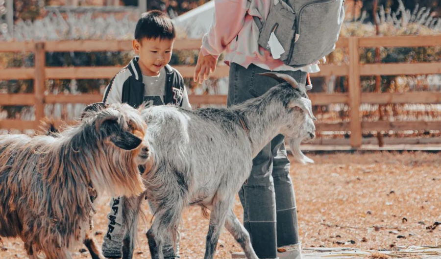 1650330557258070xZXZ.png image.png