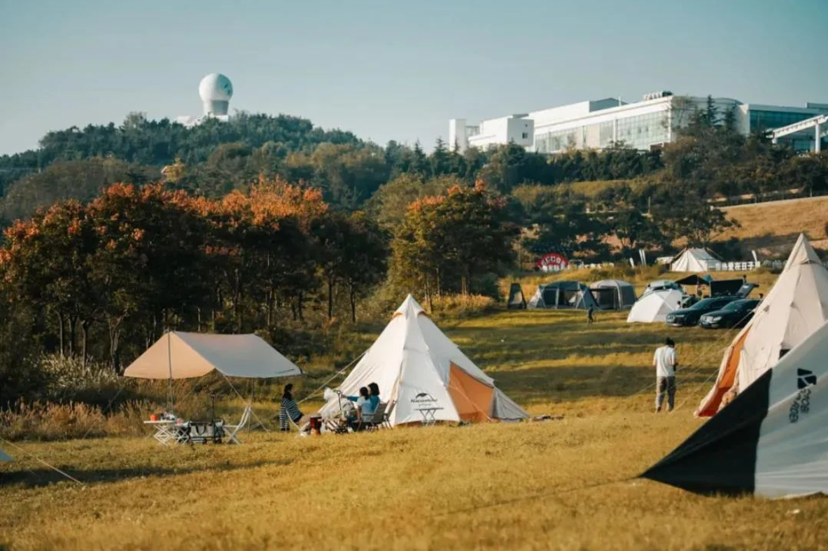 1650330945529973wtMV.png 1650330945529973wtMV.png