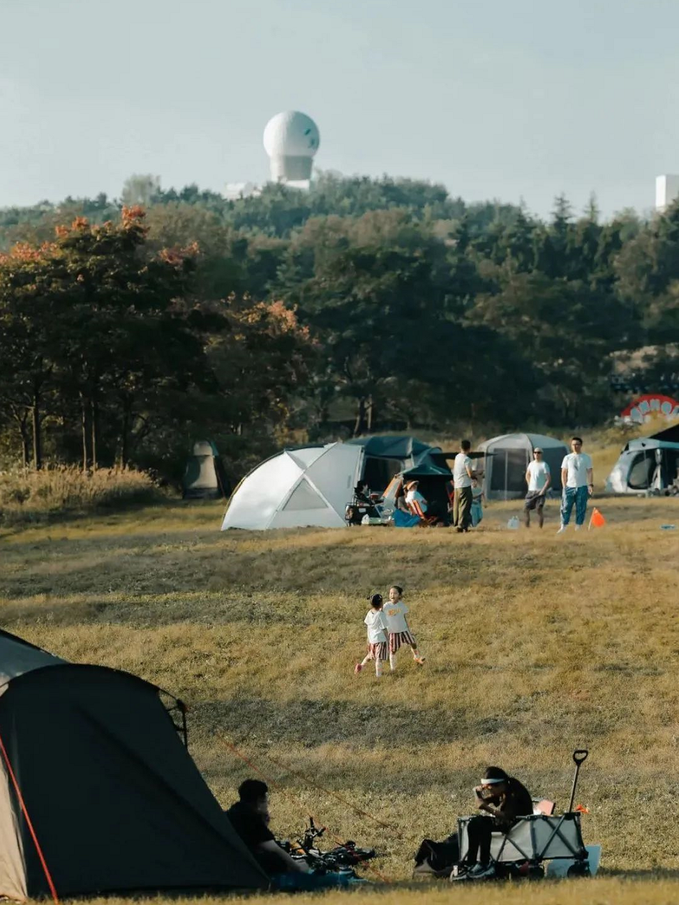 1655098696217328Hpl9.png image.png