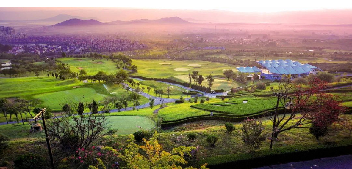 1656918294976489jYst.png image.png