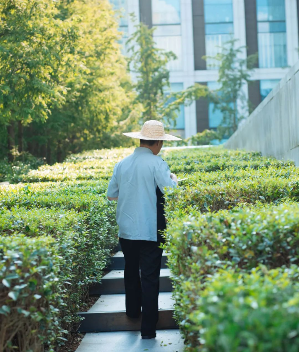 1657079952471728dvrX.png image.png